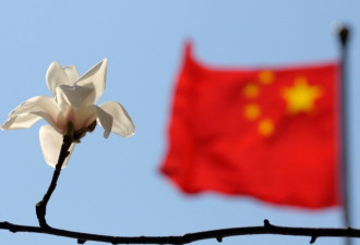 港媒：按毛泽东设计 奥运国旗错误可避免