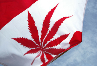 加拿大宣布自种医用大麻合法  两周后生效