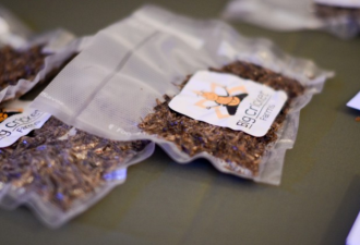 米其林大厨特制蟋蟀能量棒，想吃吗？