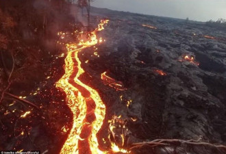 夏威夷活火山喷发吞噬森林 熔岩凝成笑脸状