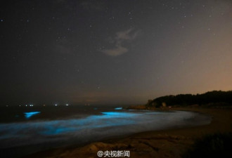 福建海滩现“蓝海”宛如仙境:泛蓝光的是夜光藻