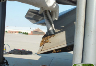美军F-22五代机尾喷管长出蜂巢 场面骇人