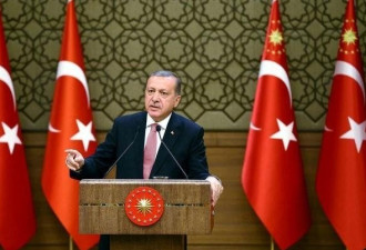 土耳其总统怒了 狠批西方支持恐怖主义