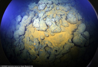海底火山首次向人们展现全貌：海星遍布似繁星