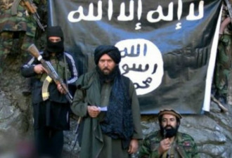 美国：IS在阿富汗和巴基斯坦领袖空袭中被打死