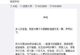 起底王宝强婚姻：戛纳红毯求婚 曾否认前妻图钱