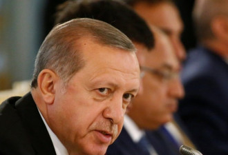 德国密件称土耳其是极端组织后台