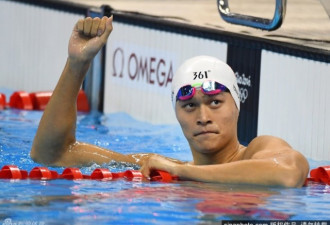 200自由泳预赛孙杨第一晋级 卫冕冠军出局