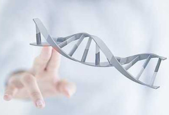 10年内合成人类基因组:基因剪刀剪出完美人类?