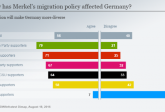 调查:德国人自己怎么看默克尔的难民政策？