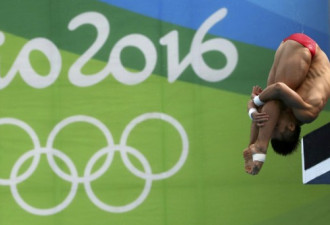 男子10米台创历史 中国跳水梦之队7金完美收官