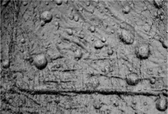 &quot;卡西尼&quot;探测土卫六大峡谷:液态甲烷在&quot;奔流&quot;