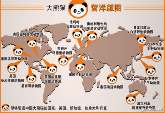 德媒:熊猫外交是中国王牌 缓和中美紧张关系