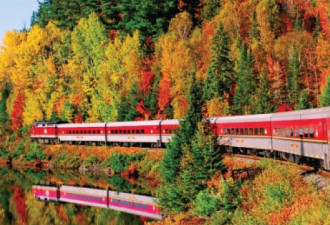 亚加华大峡谷之旅  Agawa Canyon