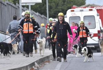 意大利震区再发余震 至少249人遇难 破坏严重