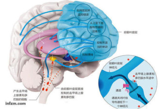 杨永信的电击疗法究竟是啥?历史比你想的更黑暗