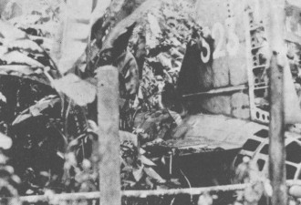 击落山本五十六座驾的美国兵与其中国恩人