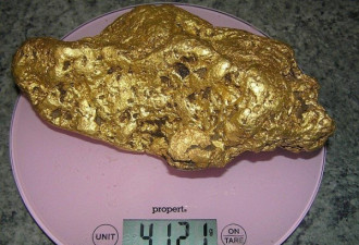 澳大利亚男子挖出8斤重金块 价值126万