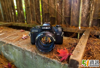 传统相机与数码相机拍枫叶有何不同？