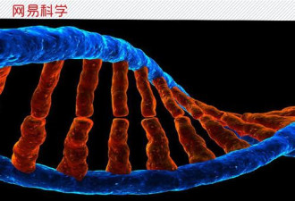 白银案告破 解密立头功的“Y-STR检测技术”