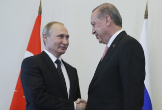 普京与土耳其总统通电话 商定将于G20期间会见
