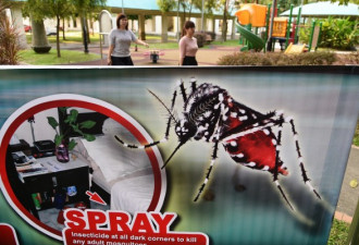 新加坡寨卡病毒感染人数突破两百 病毒或变种