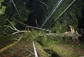 强飓风登陆佛罗里达 狂风暴雨 大树折断倒路中
