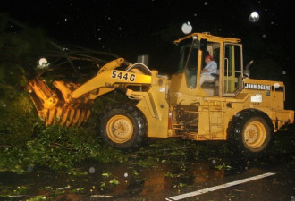 强飓风登陆佛罗里达 狂风暴雨 大树折断倒路中