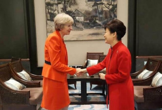 英韩两国“铁娘子”G20会晤 红装亮眼