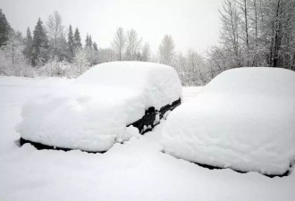 快逃！多伦多12月8日到11日有超大雪暴！