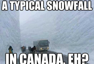 加拿8月大下雪，更丧心病狂的事情在这儿