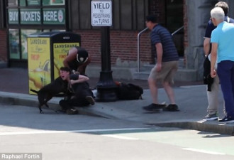 惨不忍睹！女子街头救宠物竟遭恶犬撕咬