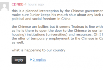 高晓松事件引加拿大关注 加网友:是中政府手段