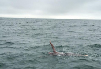 游过英吉利海峡 又一名加拿大人完成壮举