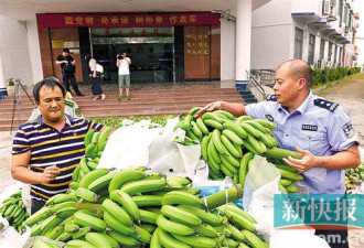 广州现4人“偷菜团伙”：一次偷走香蕉两万斤