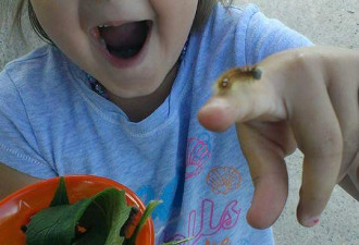 加拿大8岁女孩痴迷昆虫，却遭同学欺凌