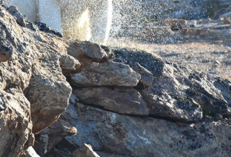 气候变暖 北极熊孤坐无雪岩石 生存环境堪忧