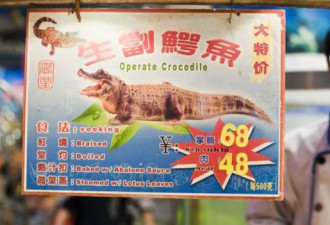 BBC：“中国胃”催盛非洲鳄鱼养殖业