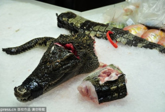 非洲兴起养鳄鱼 八成端上中国人餐桌 利润翻番