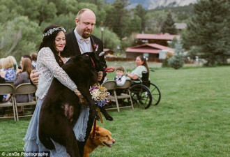 陪伴15年 临终狗狗被抱着出席主人婚礼