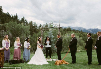 陪伴15年 临终狗狗被抱着出席主人婚礼