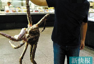 游客广州吃4千元帝王蟹 上桌后疑被掉包成死蟹