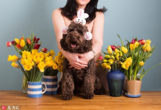 英国妇女组团抱爱犬拍摄裸体日历 为慈善募款