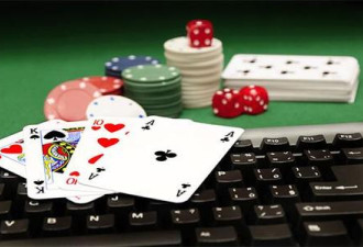 南都调查：网络赌博黑色产业链圈钱然后跑路