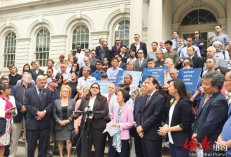 纽约华裔法官竞选连任遭否决 民众市政厅前抗议