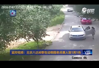 北京老虎伤人事件：园方被质疑变相私吞保险费