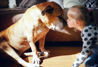 小女孩与爱犬温馨照感动世界 如今他们永别了