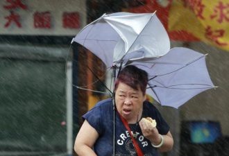 台风天肉包姨是她 卖水果的景美小甜甜