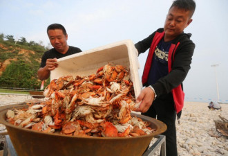 山东长岛海鲜节螃蟹海参直接用大锅煮 吃法太壕