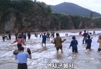 朝鲜洪灾现场曝光 群众徒手搬石块阻洪水